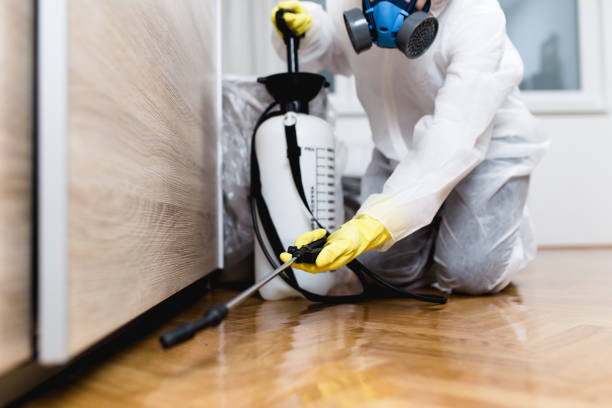 Best Rat Extermination Near Me  in Luverne, MN
