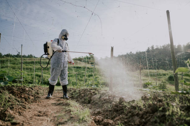 Best Best Pest Control Companies  in Luverne, MN
