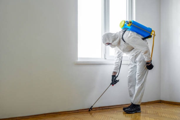 Best Local Pest Control Services  in Luverne, MN