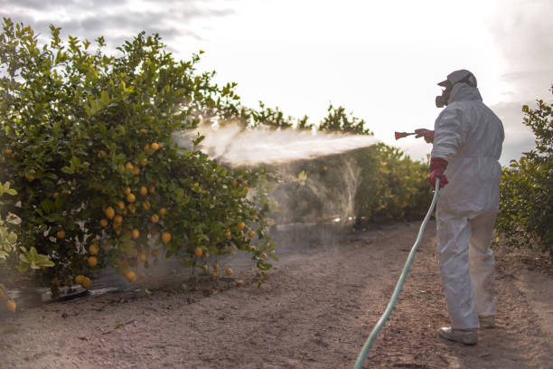 Best Best Pest Control Near Me  in Luverne, MN
