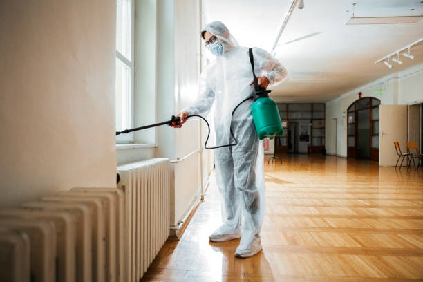 Best Affordable Pest Control Services  in Luverne, MN