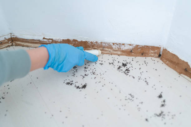Best Pest Removal Services  in Luverne, MN